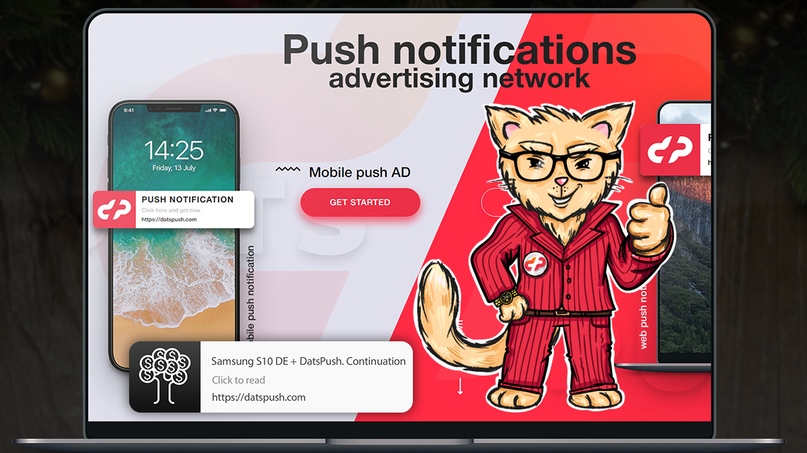 Кейс: Samsung S10 DE + DatsPush