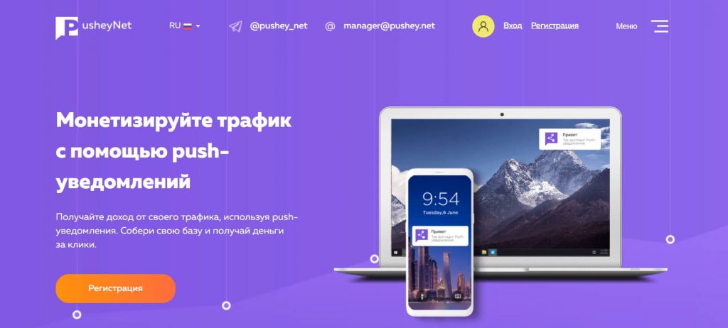 Обзор партнерки Pushey.Net