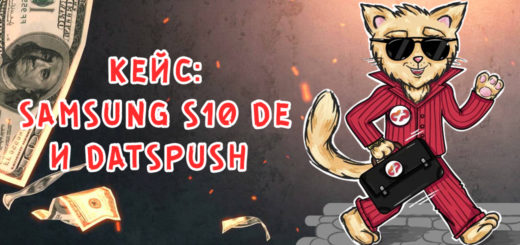 Кейс: Samsung S10 DE + DatsPush
