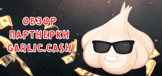 Обзор essay партнерки Garlic.Cash