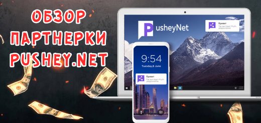 Обзор партнерки Pushey.Net