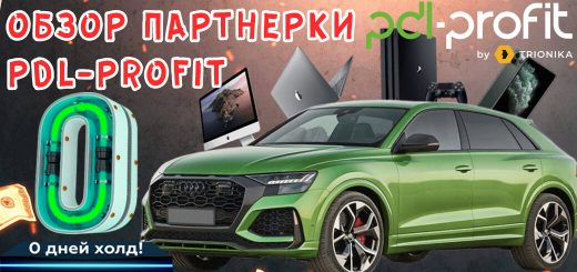 Обзор партнерки PDL-profit