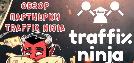 Обзор партнерки Traffix Ninja