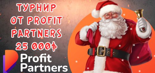 Новогодний турнир от Profit Partners