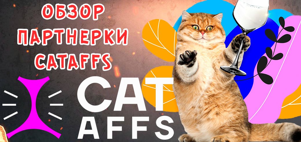 Обзор партнерки CatAffs