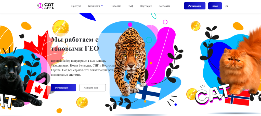 Обзор партнерки CatAffs