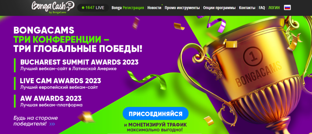 вебкам партнерка